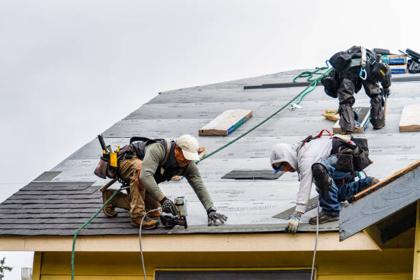 Professional Storm Damage Roof Repair technician working in Bassett, VA